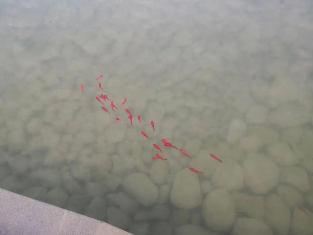 1658797424422063.jpg 640 (3).jpg