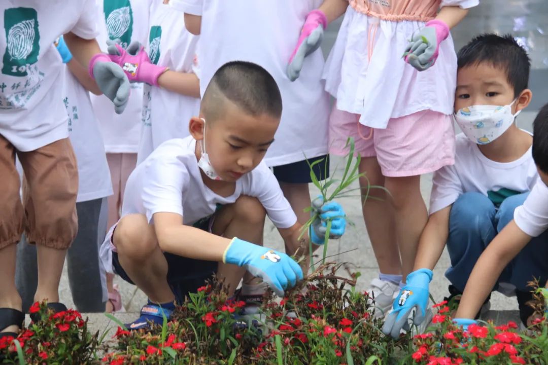 1658797453416155.jpg 640 (7).jpg