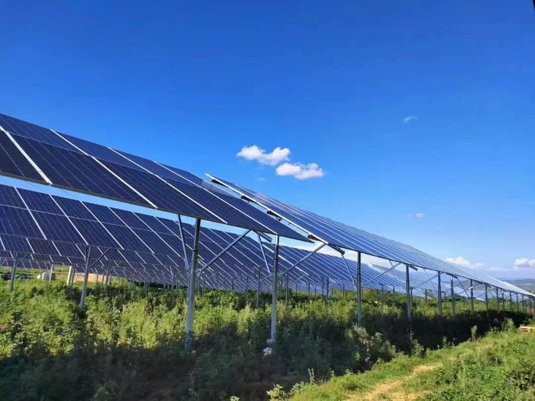 1692665562348247.jpg 微信图片_20230822085125_1.jpg