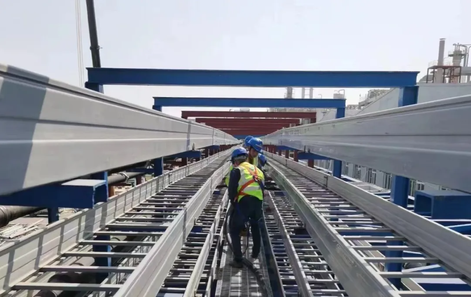 1730785494998867.png 2.png