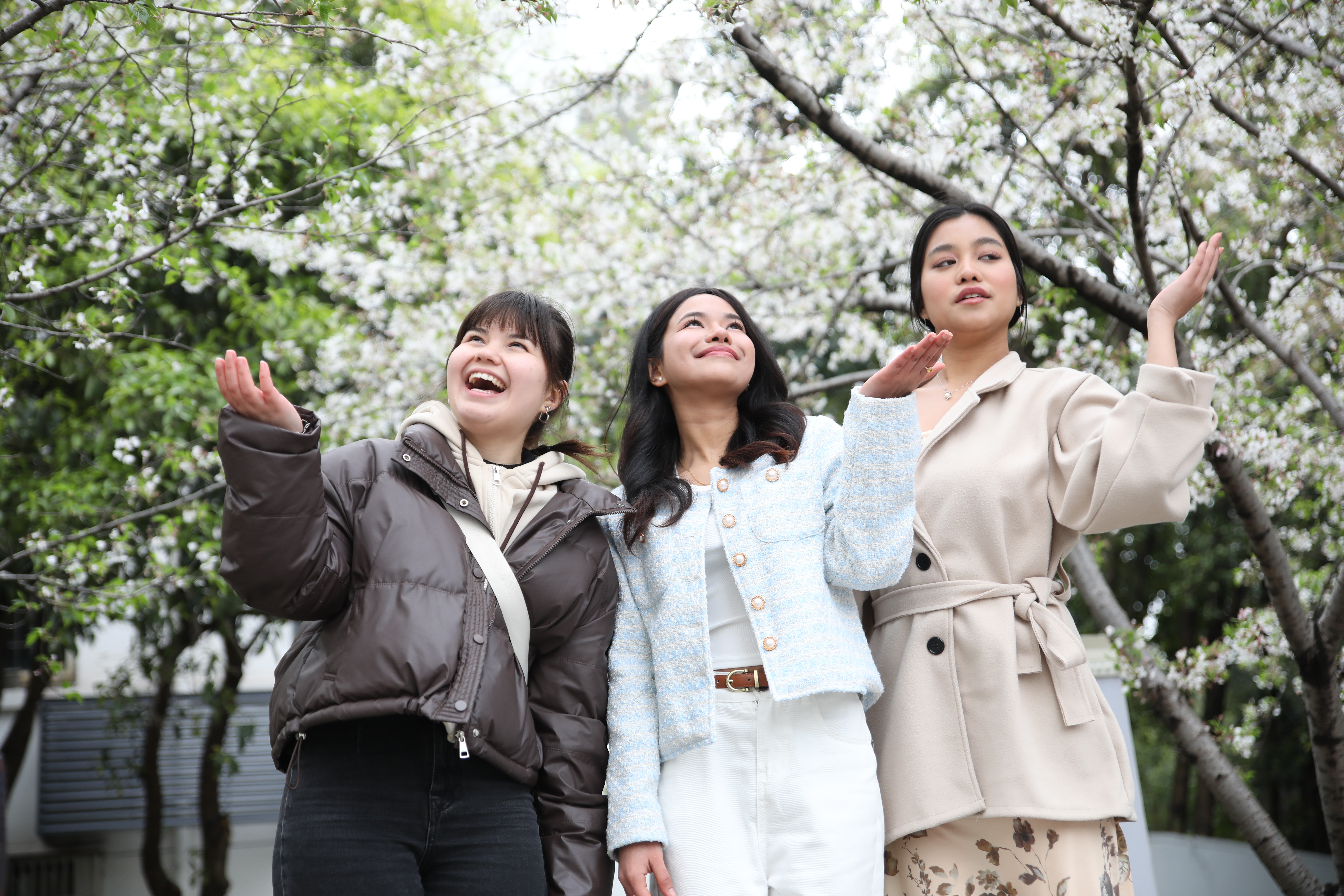 1746843671241908.jpg 1746843671241908.jpg