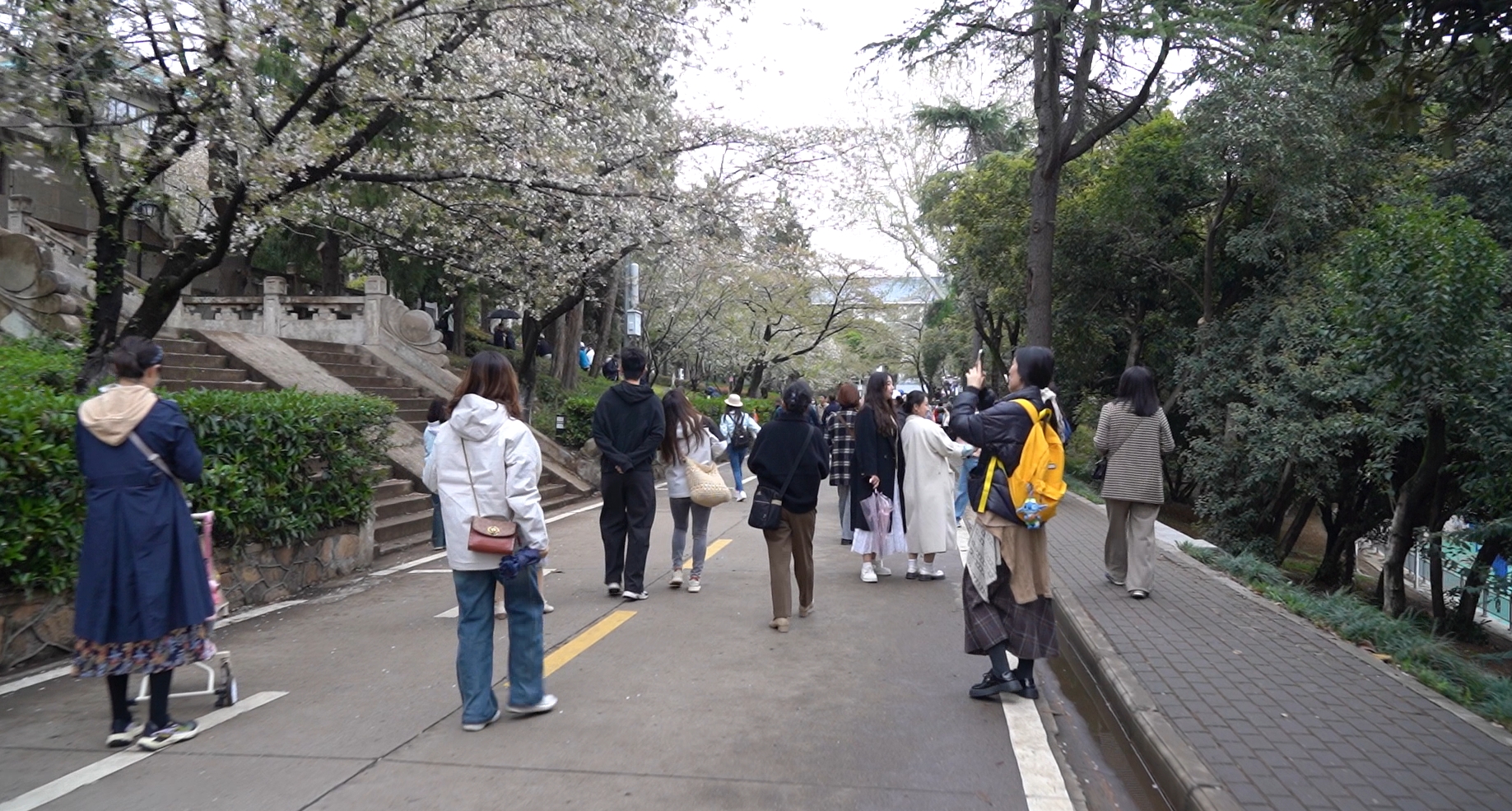 1746844013409406.png 1746844013409406.png